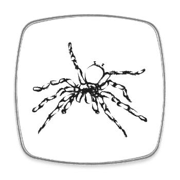 Black Spider – Insect Illustration - Square fridge magnet - white - Front