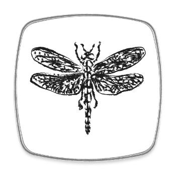 Schwarze Vintage-Libelle – Insektenillustration - Viereckiger Kühlschrankmagnet - Weiß - Vorne