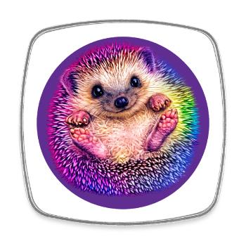 Regenbogen-Igel  - Viereckiger Kühlschrankmagnet - Weiß - Vorne