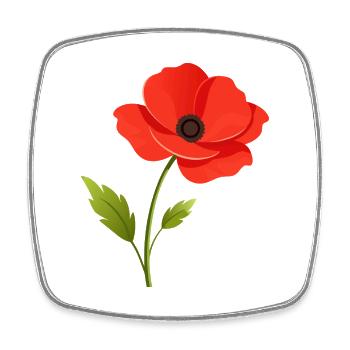 Poppy flower - Square fridge magnet - white - Front