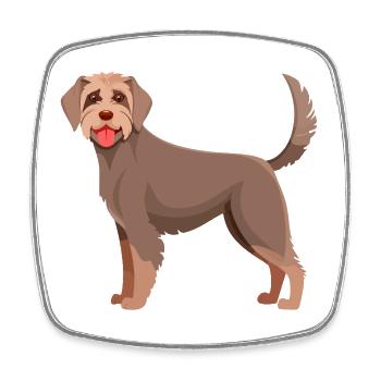 German Wirehaired Dog (Comic) - Square fridge magnet - white - Front