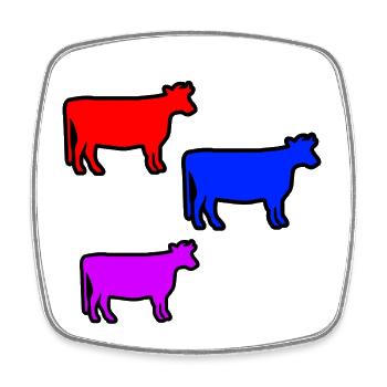 Cows - Square fridge magnet - white - Front