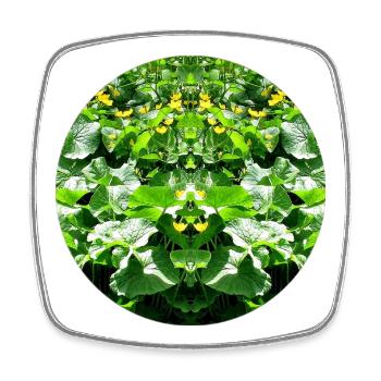 Nature Mandala Water Plant Mirrored - Square fridge magnet - white - Front