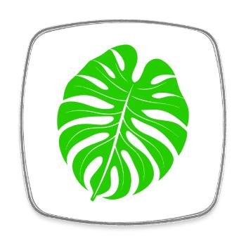 Leaf monstera - Square fridge magnet - white - Front