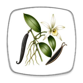 Botanical Vanilla Orchid - Square fridge magnet - white - Front