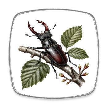 Lucane cerf volant sur branche  - Square fridge magnet - white - Front