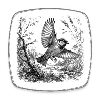 Cute sparrow in flight in nature in drawing style - Square fridge magnet - white - Front