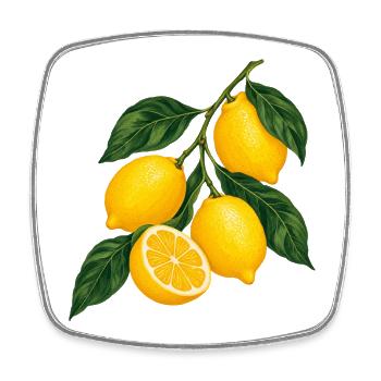 Zitruszweig Gelbe Lemons Motiv - Viereckiger Kühlschrankmagnet - Weiß - Vorne