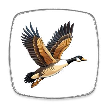 Fliegende Kanadische Gans - Viereckiger Kühlschrankmagnet - Weiß - Vorne