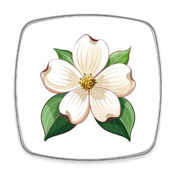 Hartriegelblume - Viereckiger Kühlschrankmagnet - Weiß - Vorne