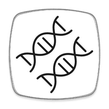 DNA-Doppelhelix-Linie-Symbol - Viereckiger Kühlschrankmagnet - Weiß - Vorne