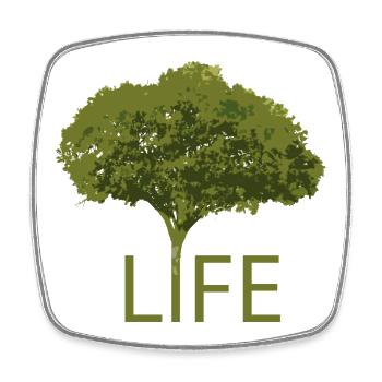 Arbre et Vie – Silhouette Verte - Magnet carré - blanc - Devant