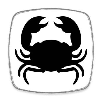 crabe - Magnet carré - blanc - Devant