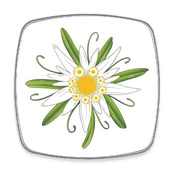 Edelweiss Edelweiss Blossom - Square fridge magnet - white - Front
