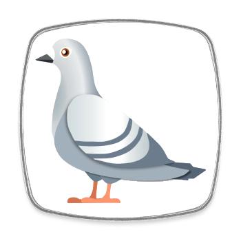 taube pigeon friedenstaube frieden lol suprem voge - Viereckiger Kühlschrankmagnet - Weiß - Vorne