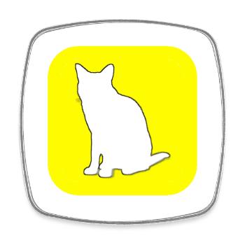 SnapChat(te) (französisches Wortspiel) - Viereckiger Kühlschrankmagnet - Weiß - Vorne
