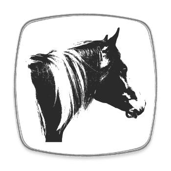 Lewitzer Schecke, Pferd Schecke, Pinto - Square fridge magnet - white - Front