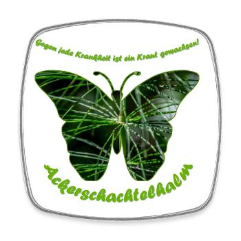 ackerschachtelhalm schmetterling - Viereckiger Kühlschrankmagnet - Weiß - Vorne