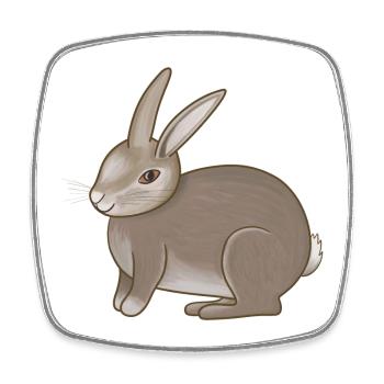 Hase braun - Viereckiger Kühlschrankmagnet - Weiß - Vorne