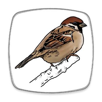 Moineau - Moineau - Magnet carré - blanc - Devant