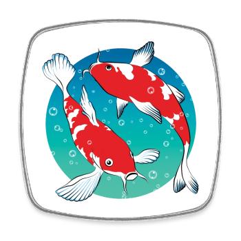 Carp Koi | Japanese ornamental goldfish - Square fridge magnet - white - Front