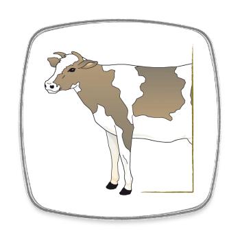 Cow - Cow Half in Frame - Square fridge magnet - white - Front