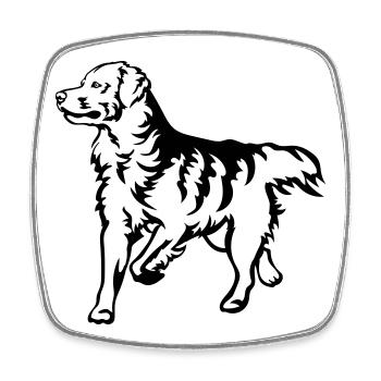 Golden Retriever - Square fridge magnet - white - Front