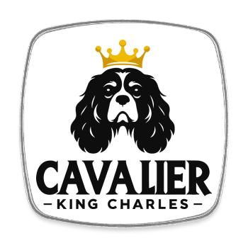 Ritter König Charles gekrönt - Viereckiger Kühlschrankmagnet - Weiß - Vorne