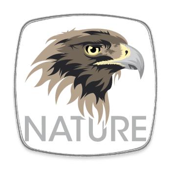 Natur Adler Symbol icon Tiere Logo Illustration - Viereckiger Kühlschrankmagnet - Weiß - Vorne