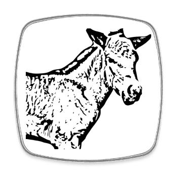 Pferde T-shirt Geschenk Reiter  - Viereckiger Kühlschrankmagnet - Weiß - Vorne
