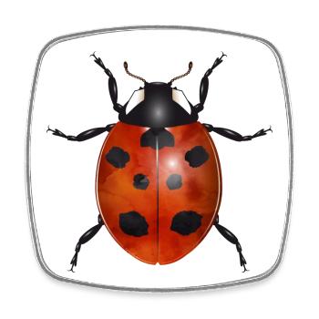 coccinelle enchanteresse aux couleurs vives - Magnet carré - blanc - Devant
