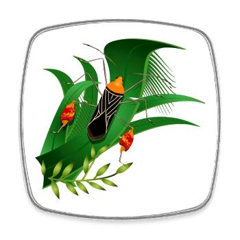 Anisoscelis alipes punaise des feuilles et feuilles vertes - Magnet carré - blanc - Devant