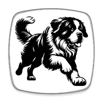 Saint-bernard - Magnet carré - blanc - Devant