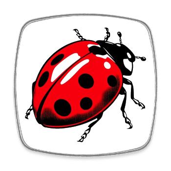 Coccinelle - Magnet carré - blanc - Devant