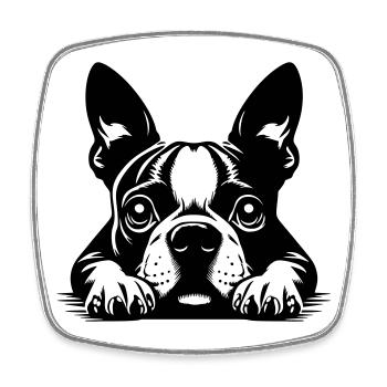 Boston Terrier Kopf mit Pfoten - Viereckiger Kühlschrankmagnet - Weiß - Vorne