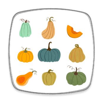 Collection de citrouilles d’automne colorées - Magnet carré - blanc - Devant