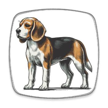 Beagle - Viereckiger Kühlschrankmagnet - Weiß - Vorne