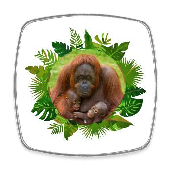 Orangutan Family Bond - Square fridge magnet - white - Front