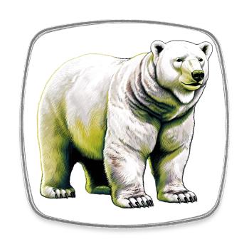 White polar bear - Square fridge magnet - white - Front