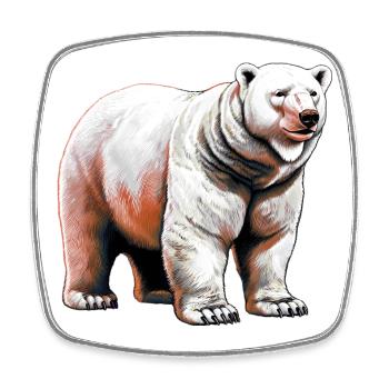 Weißer Eisbär - Viereckiger Kühlschrankmagnet - Weiß - Vorne