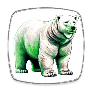 White polar bear - Square fridge magnet - white - Front