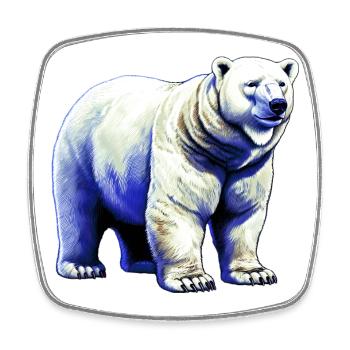 Weißer Eisbär - Viereckiger Kühlschrankmagnet - Weiß - Vorne