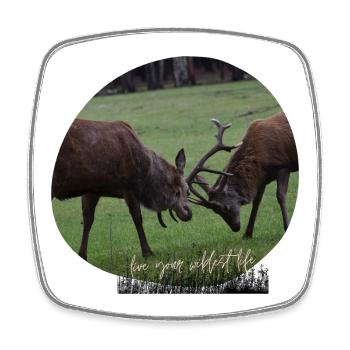 Rotwild-Liebe - Viereckiger Kühlschrankmagnet - Weiß - Vorne