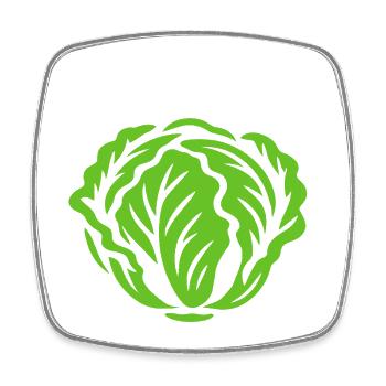 Salade - Végétalien en colère - Régime végétalien - Magnet carré - blanc - Devant