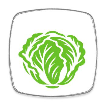 Salade - Êtes-vous végétalien ? - Régime végétalien - Magnet carré - blanc - Devant