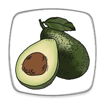 Avocat - Magnet carré - blanc - Devant