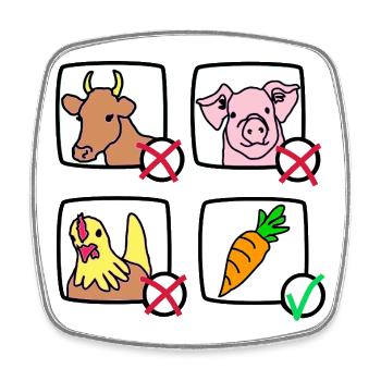 Vegetarian international  - Square fridge magnet - white - Front