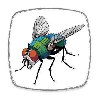 Fly - Cooles Low-Poly-Logo - Viereckiger Kühlschrankmagnet - Weiß - Vorne