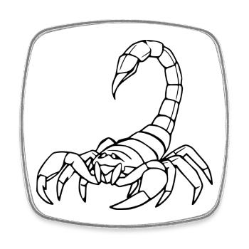 Scorpio Zodiac T-shirt Gift - Square fridge magnet - white - Front