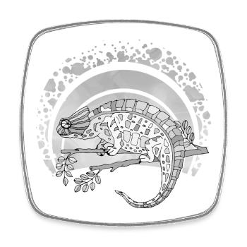 Chameleon - Square fridge magnet - white - Front